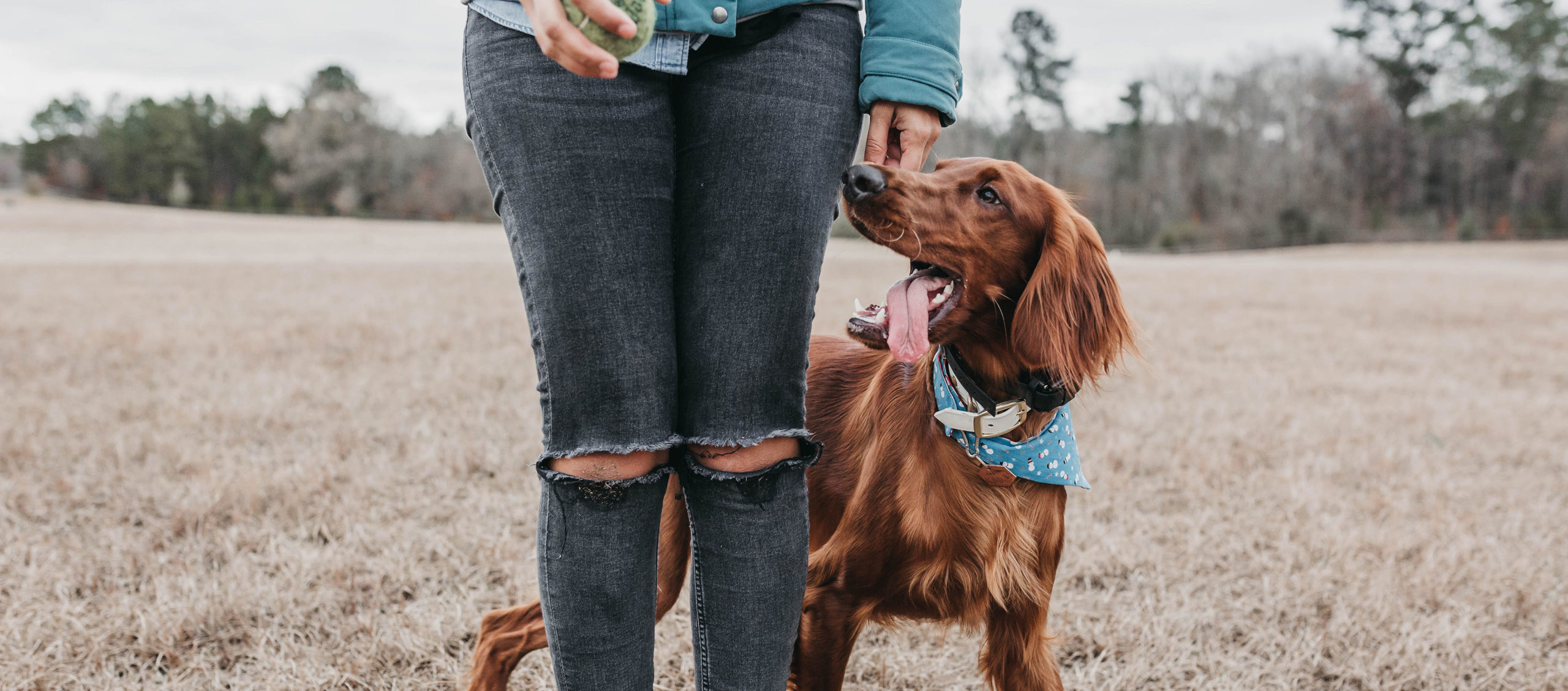 Woman Walking with Dog